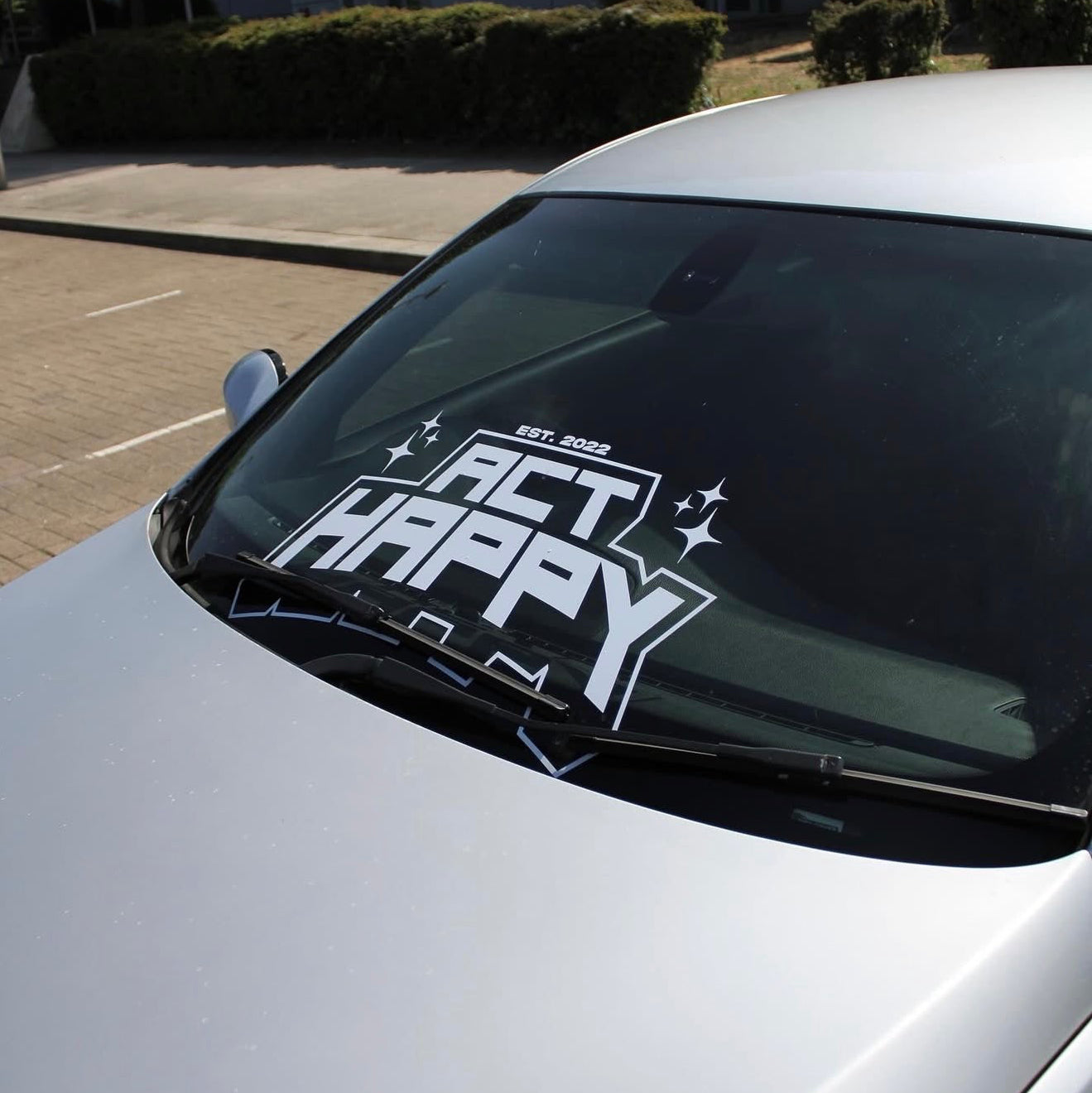 LOWER THAN YOUR STANDARDS BANNER